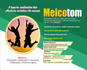 Meicotom_Cap1